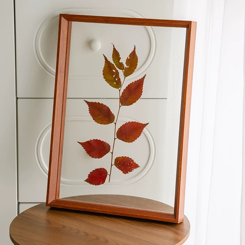 A3 Double Sided Floating Frame Transparency Frame Shadow Box Photo Frames Size - Walnut Brown