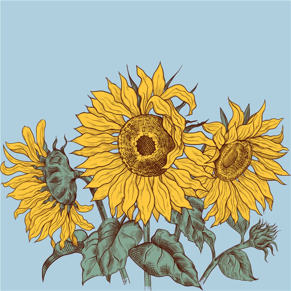 SUNFLOWER Art Painting Poster