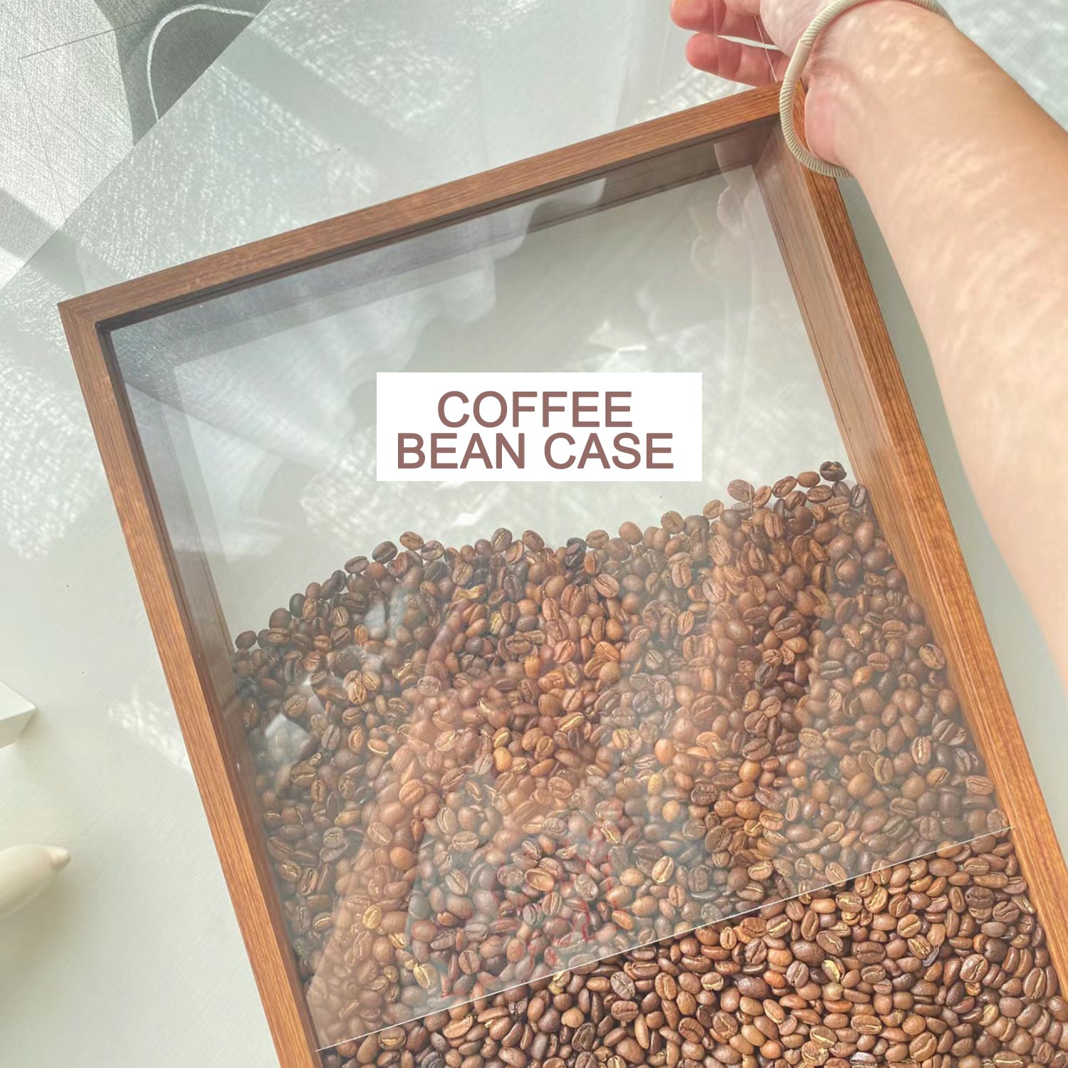 A4 Double Sided Glass Memory Box Dried Flower Frame Walnut Brown