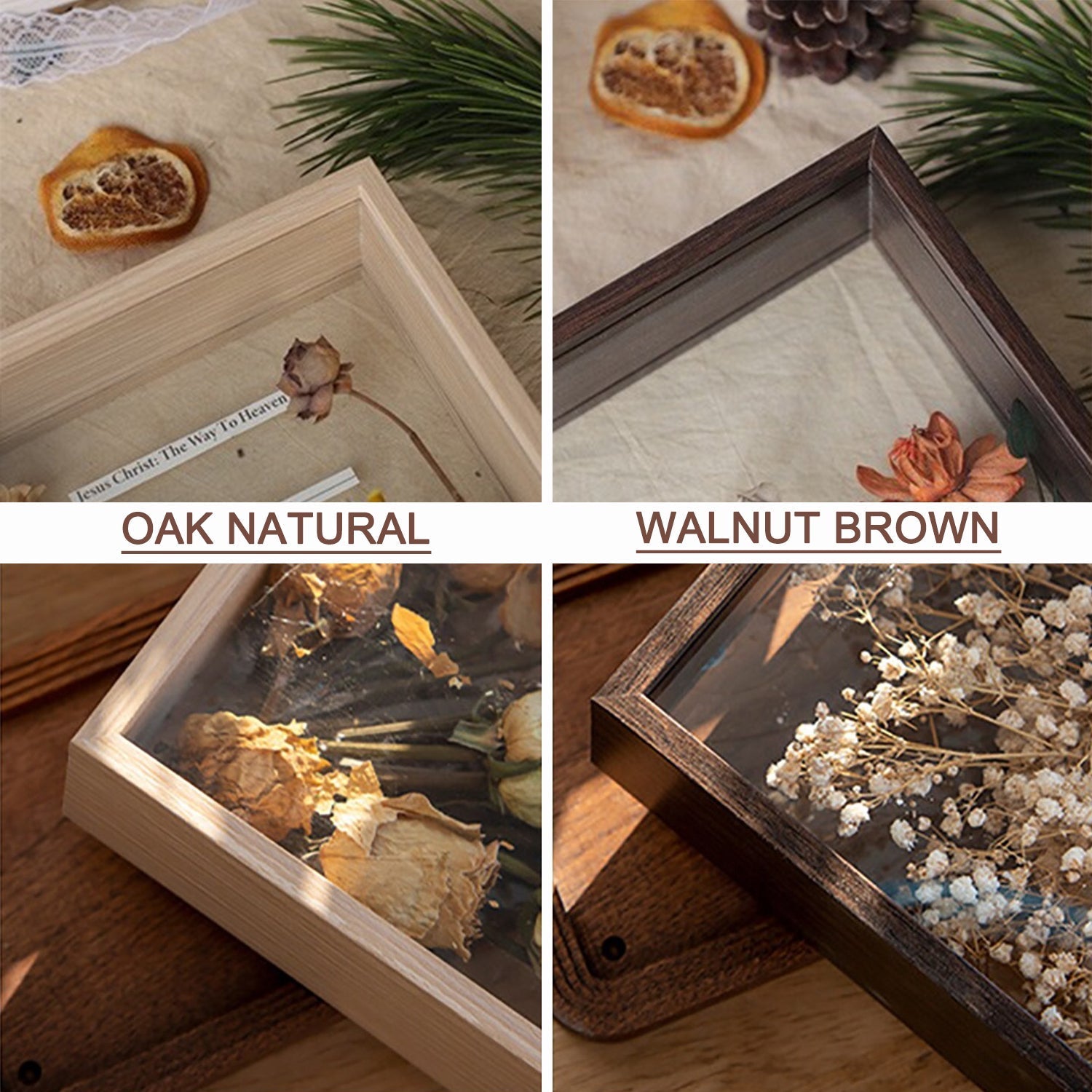 A4 Double Sided Glass Memory Box Dried Flower Frame Walnut Brown