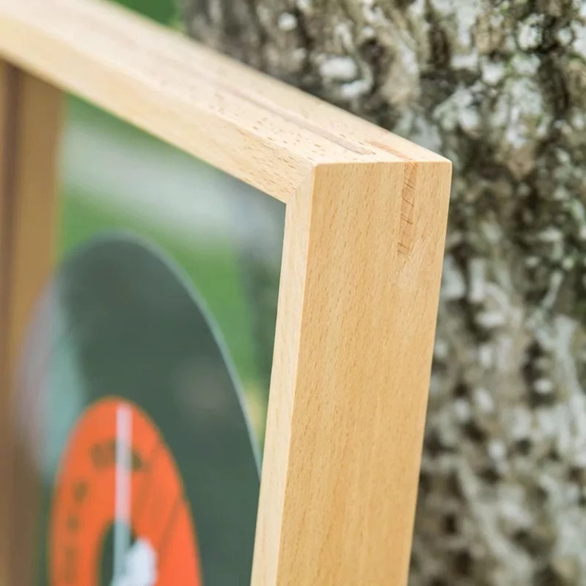 A4 A3 Solid Wood Floating Transparent Double-sided Photo Frame Specime