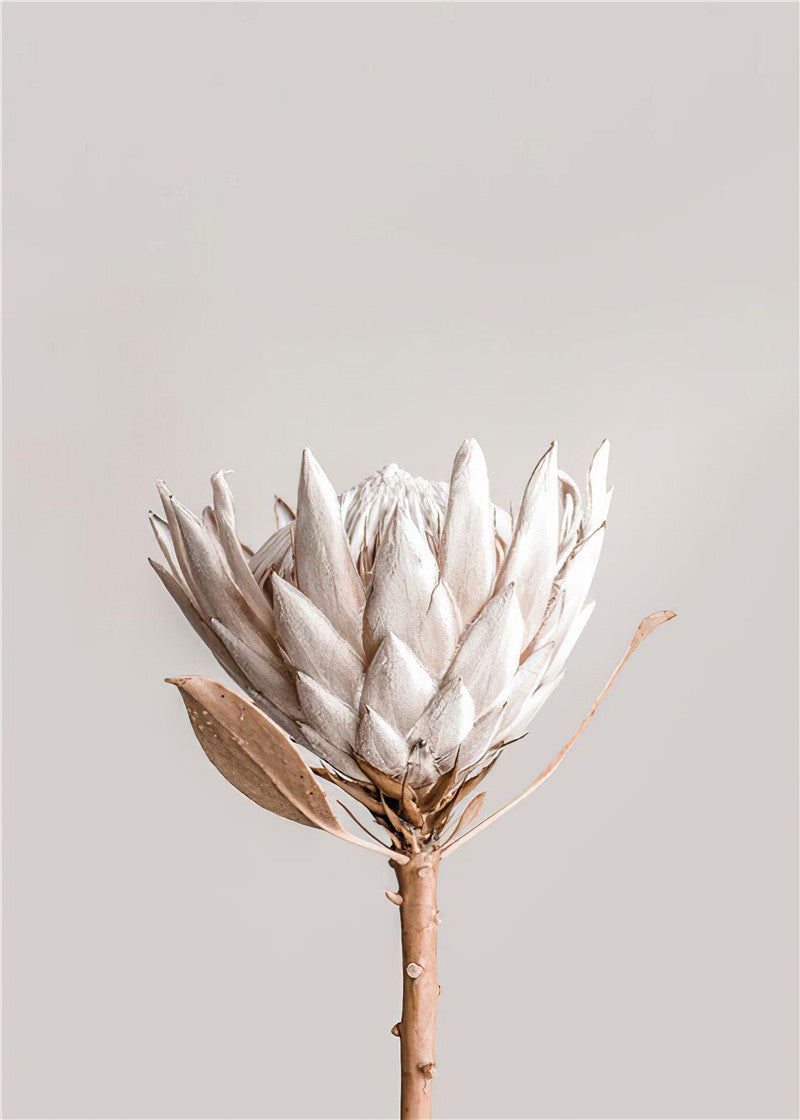 Framed Poster Art Prints Flower in Beige Minimalist 16x20" 20x28" inch 40x50CM 50x70CM