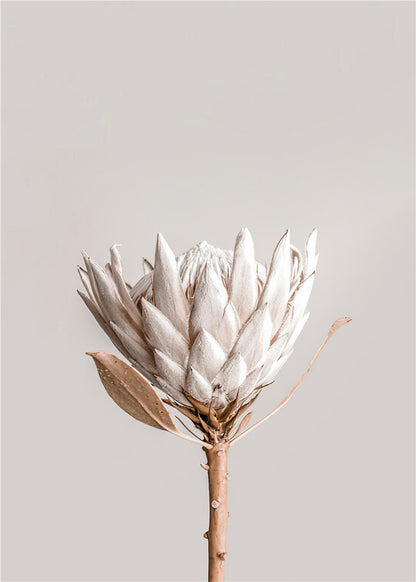 Framed Poster Art Prints Flower in Beige Minimalist 16x20" 20x28" inch 40x50CM 50x70CM