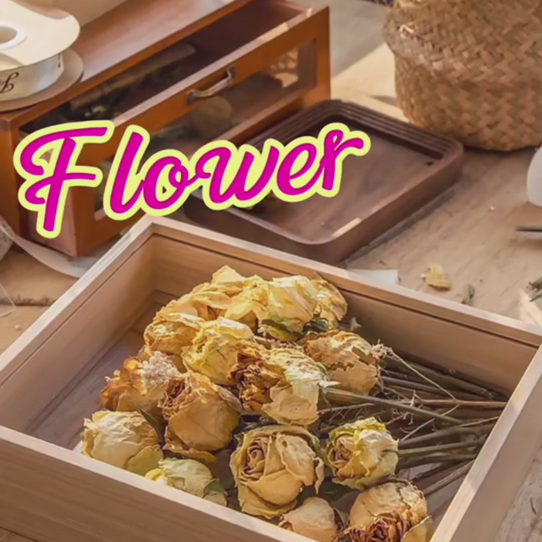 A4 Double Sided Glass Memory Box Dried Flower Frame Walnut Brown